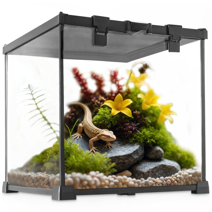 Mini Reptile Glass Terrarium Vivarium 12'' x 12'' x 12'' Full View Tank Small Amphibians Glass Habitat Cage with Feeding Slot & Box Lock Buckle