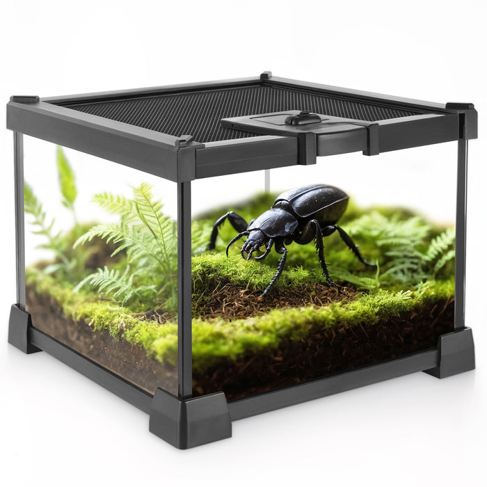 Mini Reptile Glass Terrarium Vivarium 8'' x 8'' x 6'' Full View Tank Small Amphibians Glass Habitat Cage with Feeding Slot & Box Lock Buckle