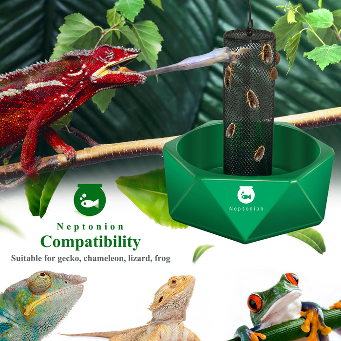 Neptonion Hookable Chameleon Feeding Bowl Bugs Bar with Column for Prey to Climb and Move, Suitable for Lizard, Bearded Dragon, Iguana, Gecko, Toad, Frog
