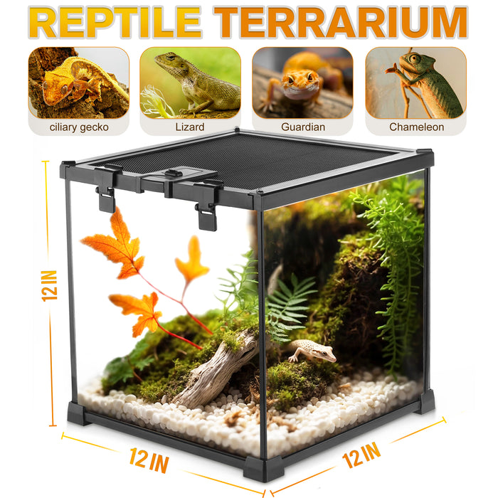 Mini Reptile Glass Terrarium Vivarium 12'' x 12'' x 12'' Full View Tank Small Amphibians Glass Habitat Cage with Feeding Slot & Box Lock Buckle
