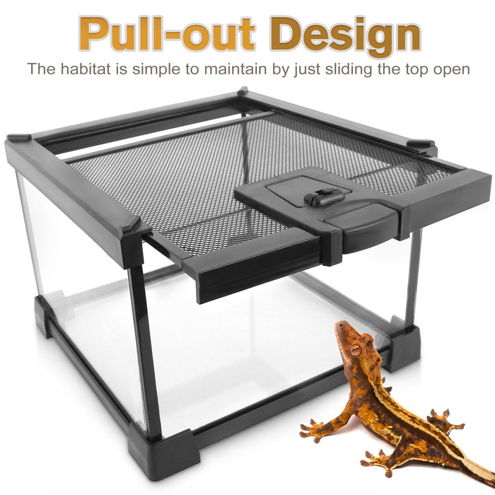 Mini Reptile Glass Terrarium Vivarium 8'' x 8'' x 6'' Full View Tank Small Amphibians Glass Habitat Cage with Feeding Slot & Box Lock Buckle