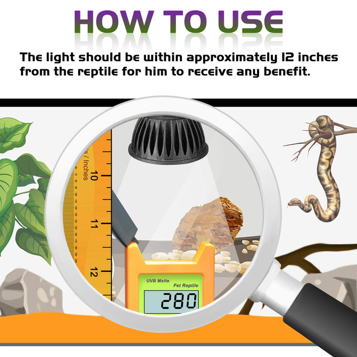 NEPTONION UVB Reptiles Bulb, LED 5W UV Light Bulb, UVB Compact Fluorescent Lamp, Suitable for Reptiles (E27,110V)