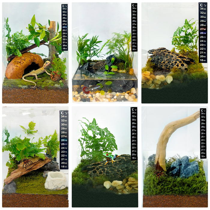 Neptonion Acrylic Breeding Box Transparent Mini Reptile Habitat Terrarium with Sliding Cover Magnetic Closure for Small Animals and Bugs,Including Tarantulas,Crickets,Snails,Hermit crabs,frogs