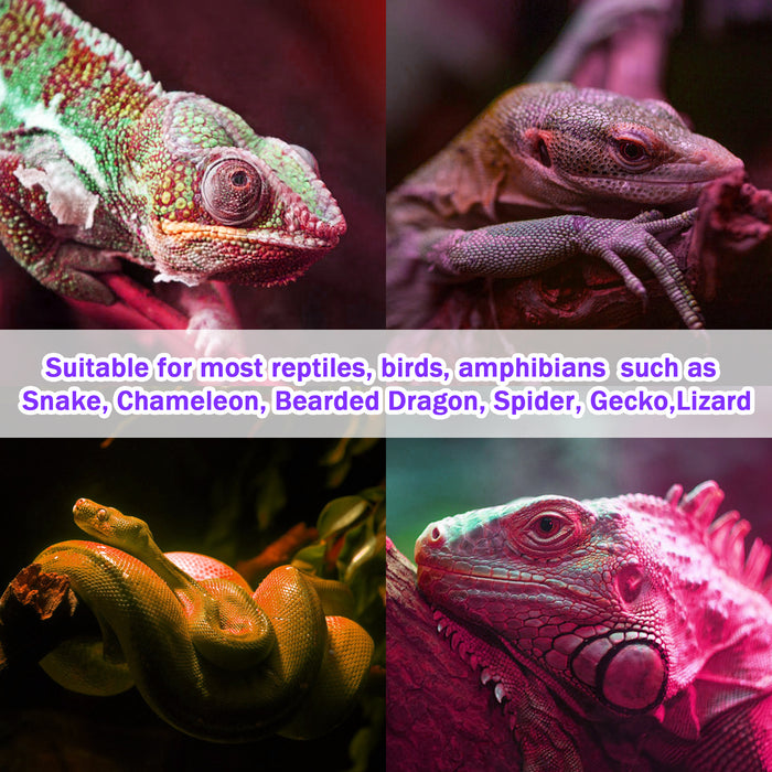 NEPTONION Reptile Moonlight Lamps, UVA Night Heat Bulb Basking Spot Heating Lamp Suitable for Snake, Chameleon, Bearded Dragon, Spider, Gecko, Lizard