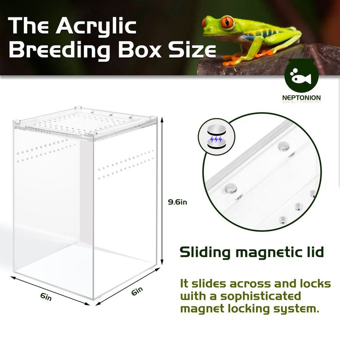 Neptonion Acrylic Breeding Box Transparent Mini Reptile Habitat Terrarium with Sliding Cover Magnetic Closure for Small Animals and Bugs,Including Tarantulas,Crickets,Snails,Hermit crabs,frogs