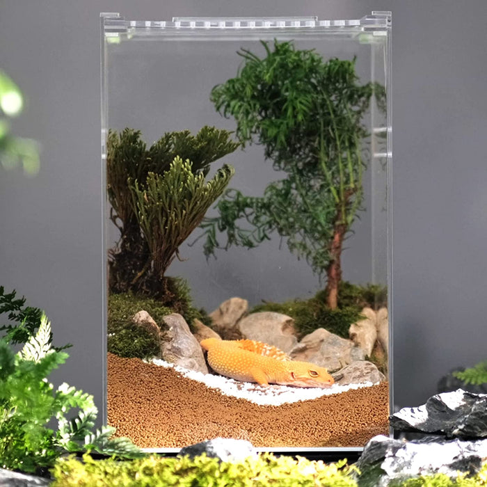 Neptonion Acrylic Breeding Box Transparent Mini Reptile Habitat Terrarium with Sliding Cover Magnetic Closure for Small Animals and Bugs,Including Tarantulas,Crickets,Snails,Hermit crabs,frogs