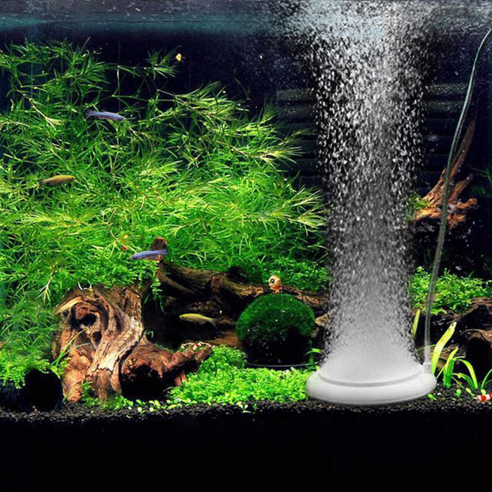Windbells air Stone Disc Aquarium Fish Tank Bubbler with Control Valve Oxygen Diffuser for Hydroponics (Air Pump and pipe not included)