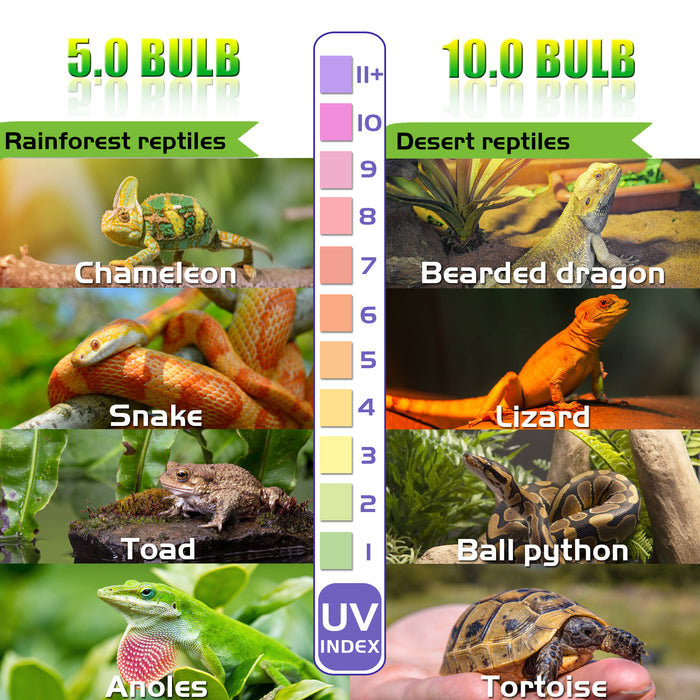 NEPTONION UVA UVB Reptiles Bulb, Dual-threat UV Light Bulb, Compact Fluorescent Lamp, Suitable for Rainforest and Desert Reptiles