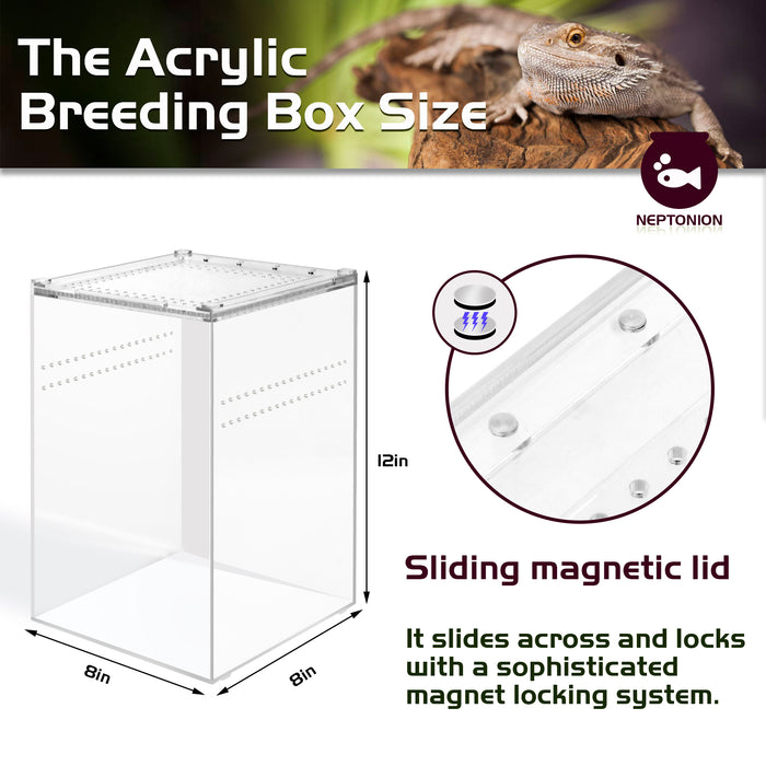 Neptonion Acrylic Breeding Box Transparent Mini Reptile Habitat Terrarium with Sliding Cover Magnetic Closure for Small Animals and Bugs,Including Tarantulas,Crickets,Snails,Hermit crabs,frogs