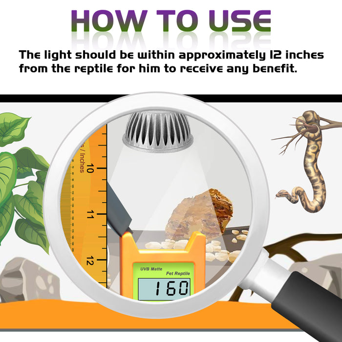 NEPTONION UVB Reptiles Bulb, LED 5W UV Light Bulb, UVB Compact Fluorescent Lamp, Suitable for Reptiles (E27,110V)