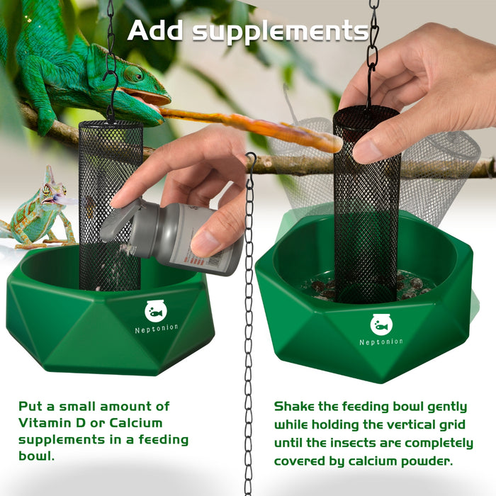Neptonion Hookable Chameleon Feeding Bowl Bugs Bar with Column for Prey to Climb and Move, Suitable for Lizard, Bearded Dragon, Iguana, Gecko, Toad, Frog