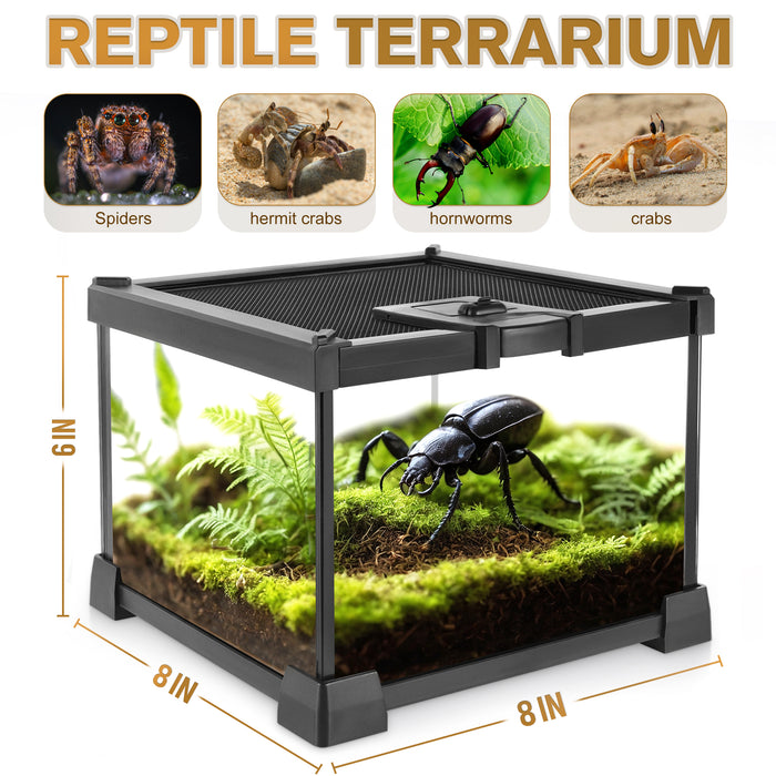 Mini Reptile Glass Terrarium Vivarium 8'' x 8'' x 6'' Full View Tank Small Amphibians Glass Habitat Cage with Feeding Slot & Box Lock Buckle
