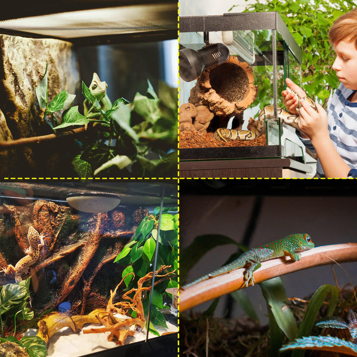 32 Gallon Professional Glass Terrarium 18"x18"x24" Durable Reptile Habitat Tank with Heat Resistant Aluminum Alloy Frame, Dual Front Swinging Doors for no Jam by Sand and Other Debris