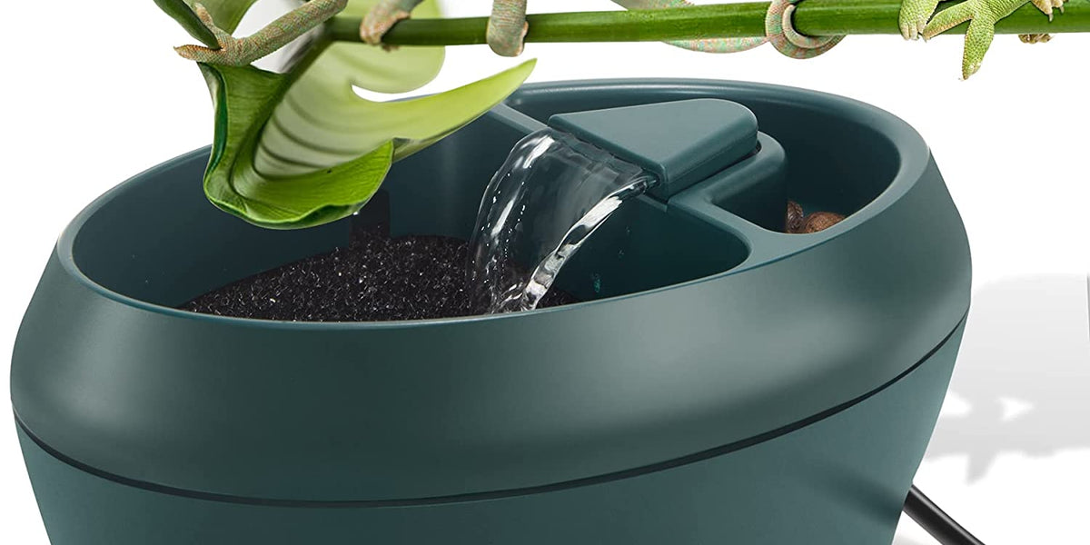 NEPTONION Reptile Chameleon Cantina met snackbak, drinkfontein waterdruppelaar voor amfibieën insecten hagedis schildpad slang spin kikker gekko wordt geleverd met twee pompen (één voor vervanging NEPTONION Reptile Chameleon Cantina met snackbak, drinkfontein waterdruppelaar voor amfibieën insecten hagedis schildpad slang spin kikker gekko wordt geleverd met twee pompen (één voor vervanging